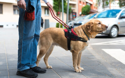 FHEO Revises Emotional Support Animal Qualifications