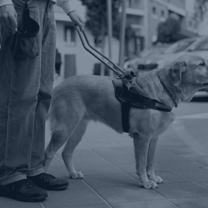 New HUD Guidance on Assistance Animals