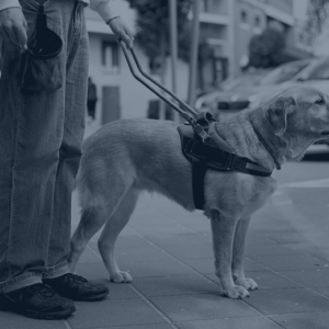 New HUD Guidance on Assistance Animals