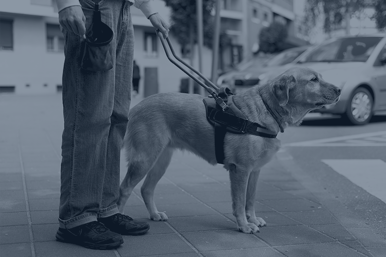 New HUD Guidance on Assistance Animals